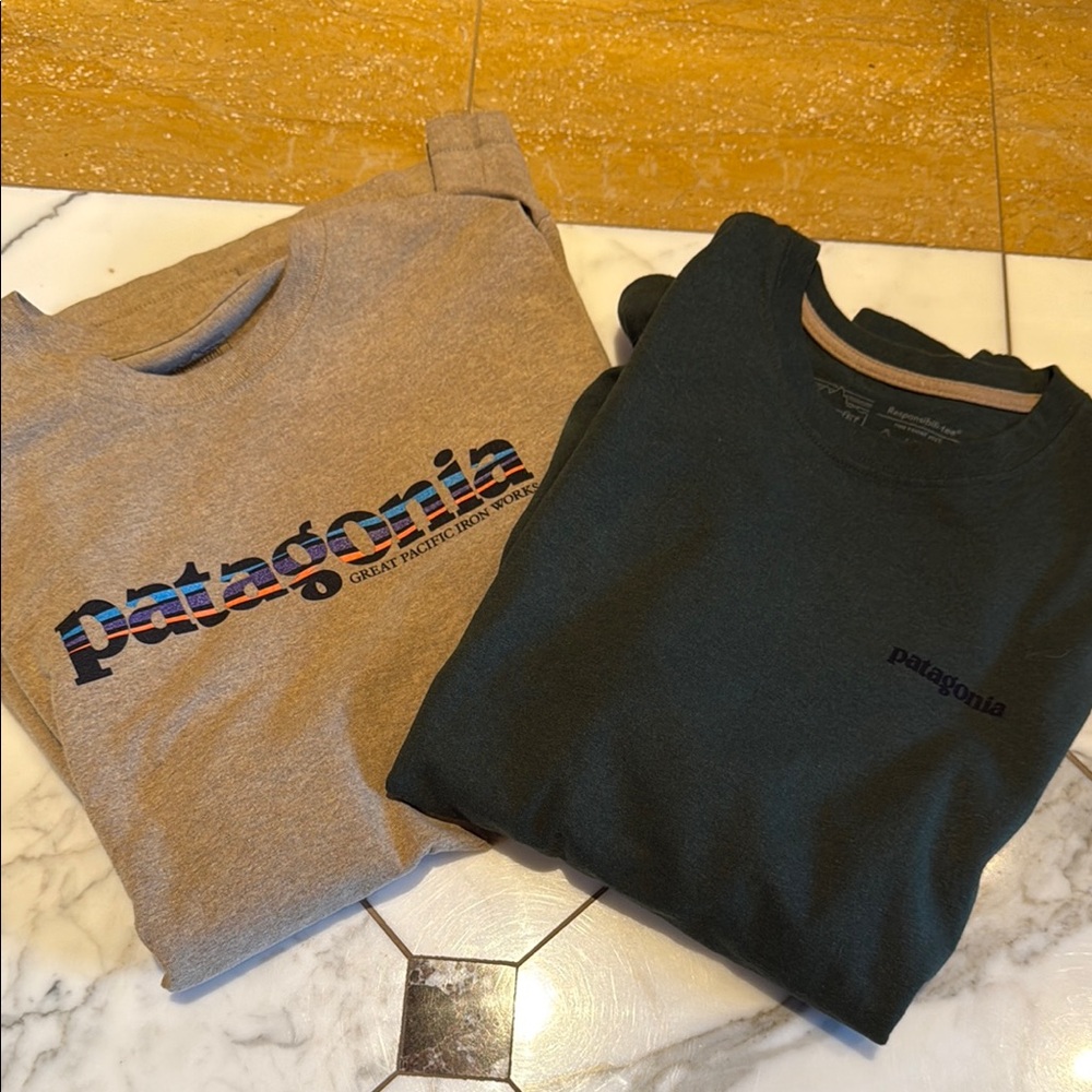 Patagonia Graphic and Logo T-Shirts